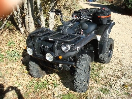 Quad YAMAHA Grizzly 550 camo occasion